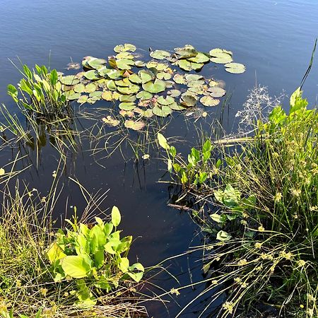 Landzicht Natuur Rust En Ruimte Oosterwolde  Luaran gambar