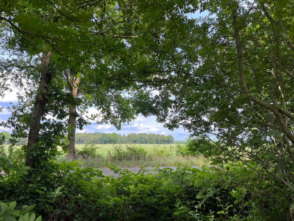 Landzicht Natuur Rust En Ruimte Oosterwolde  Luaran gambar