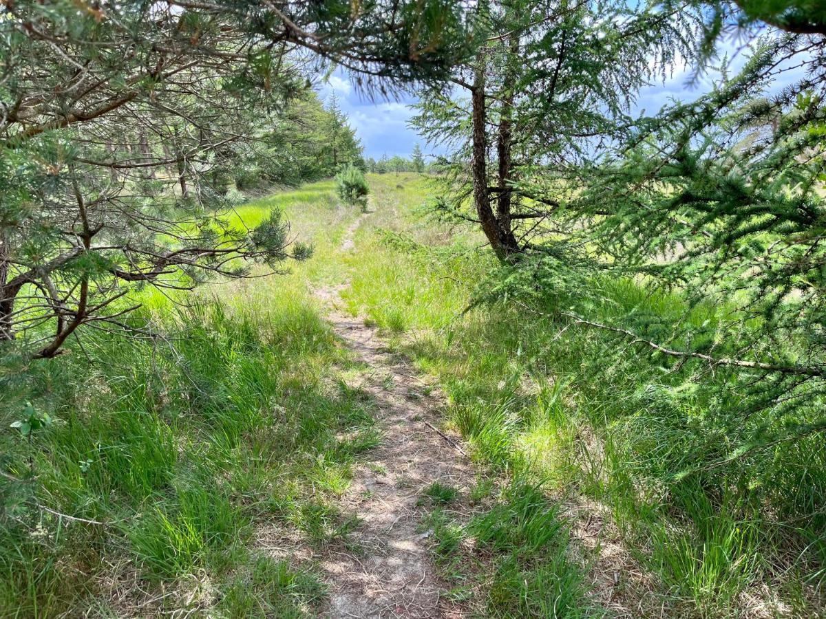 Landzicht Natuur Rust En Ruimte Oosterwolde  Luaran gambar