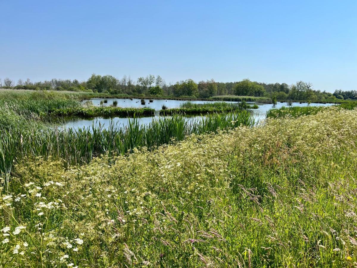 Landzicht Natuur Rust En Ruimte Oosterwolde  Luaran gambar