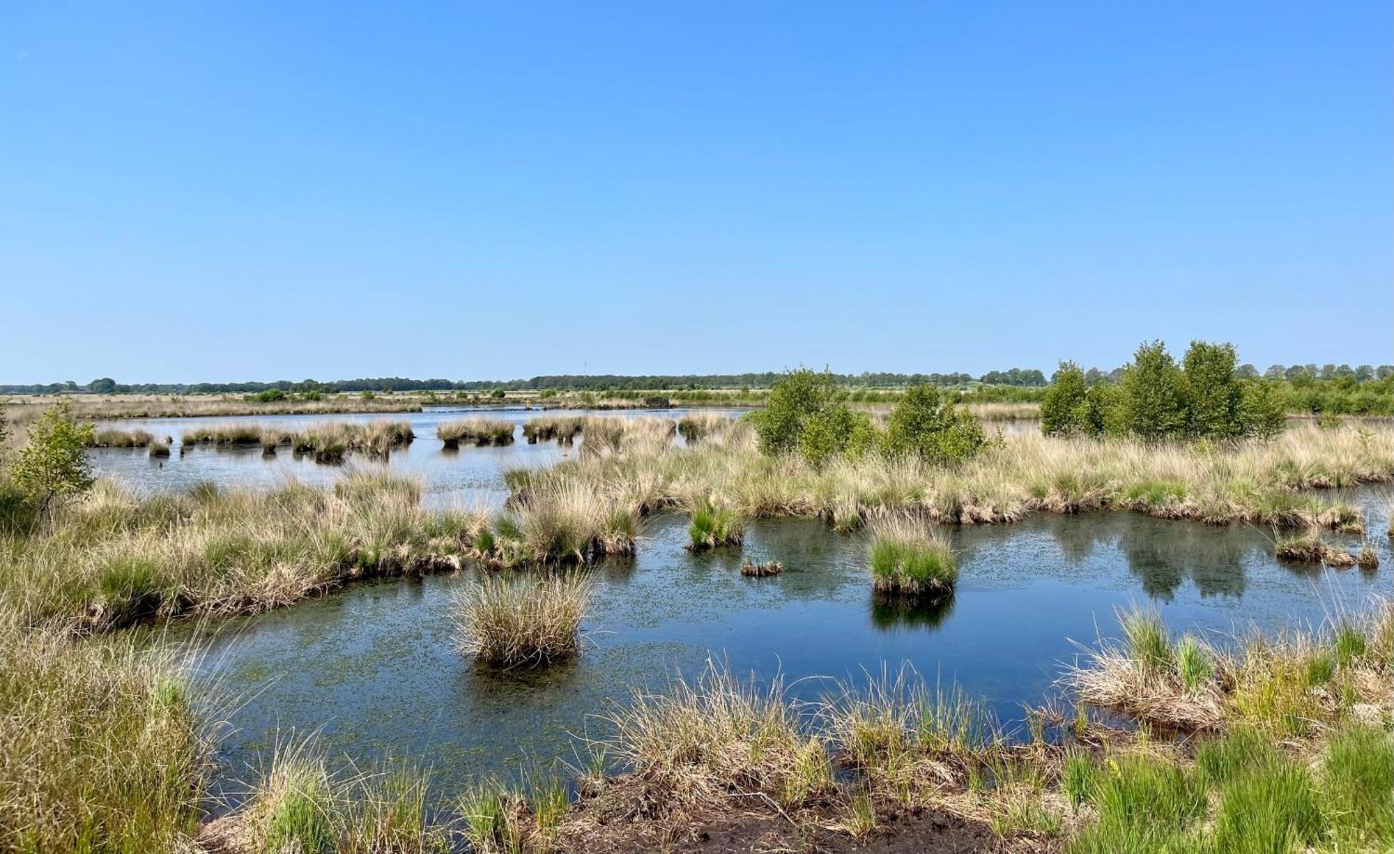 Landzicht Natuur Rust En Ruimte Oosterwolde  Luaran gambar