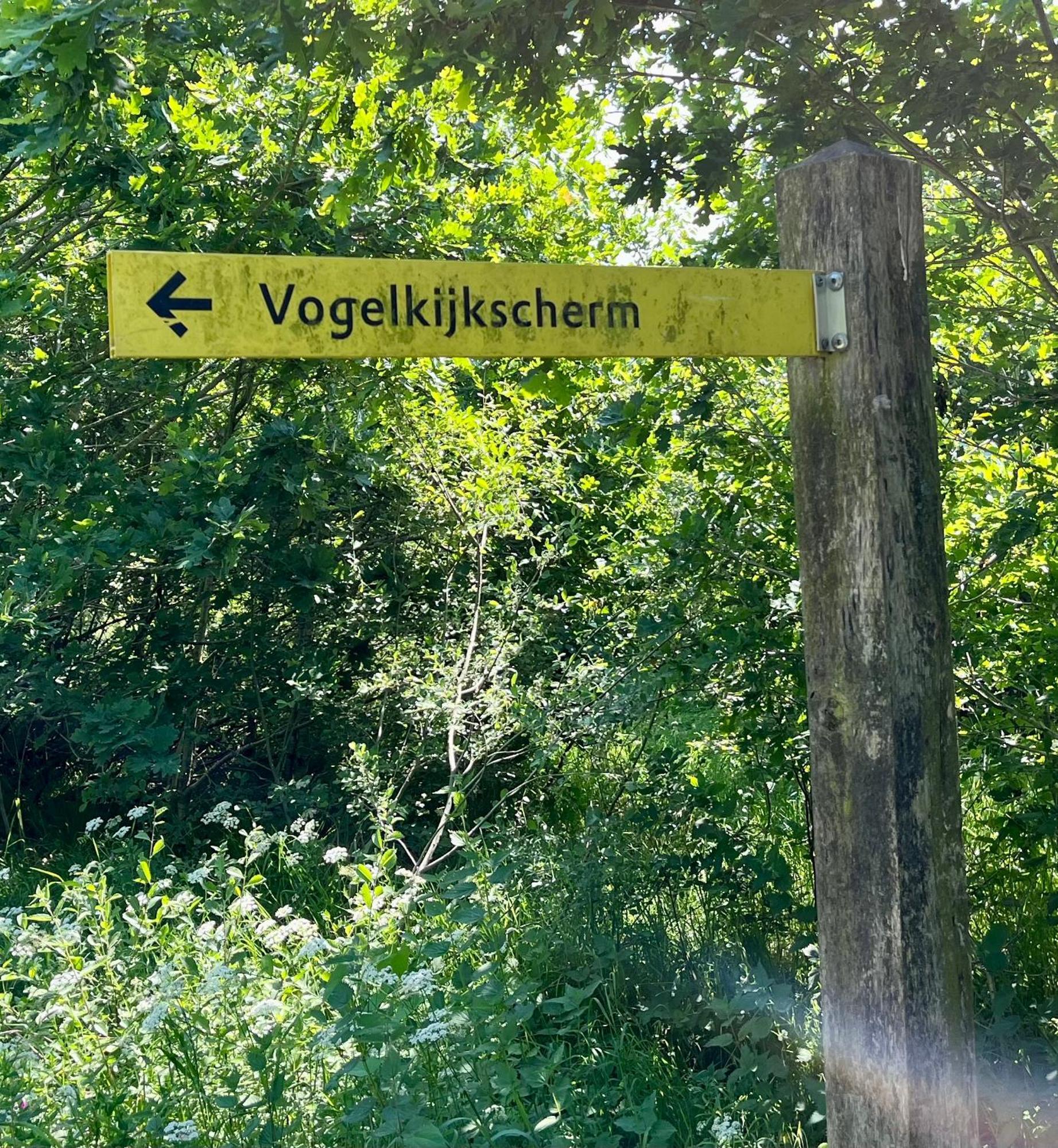 Landzicht Natuur Rust En Ruimte Oosterwolde  Luaran gambar
